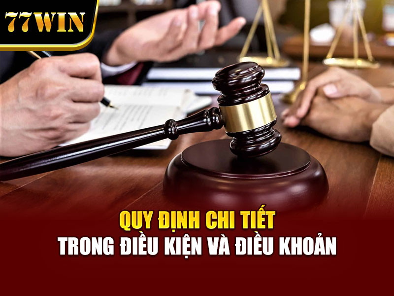 Quy định chi tiết trong điều kiện và điều khoản