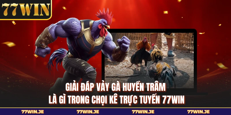 Giải đáp vảy gà huyền trâm là gì trong chọi kê trực tuyến 77WIN
