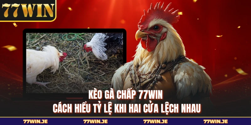 Kèo Gà Chấp 77WIN - Cách Hiểu Tỷ Lệ Khi Hai Cửa Lệch Nhau