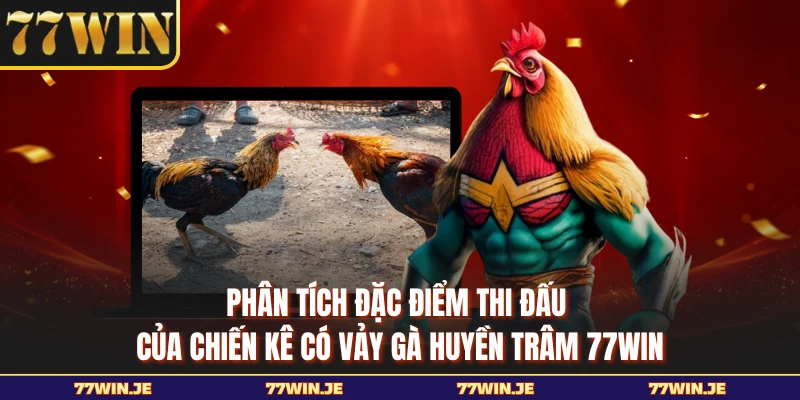 Phân tích đặc điểm thi đấu của chiến kê có vảy gà huyền trâm 77WIN