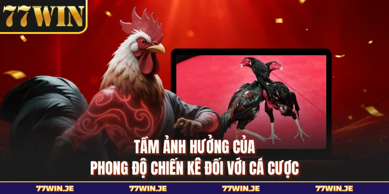 Tầm ảnh hưởng của phong độ chiến kê đối với cá cược