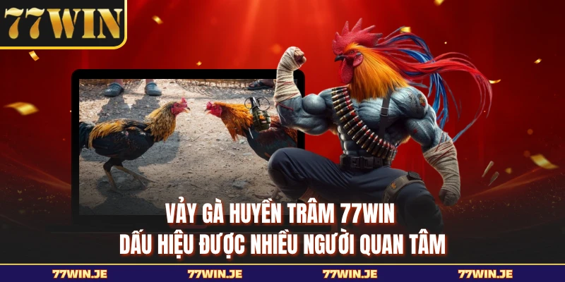 Vảy Gà Huyền Trâm 77WIN - Dấu Hiệu Được Nhiều Người Quan Tâm